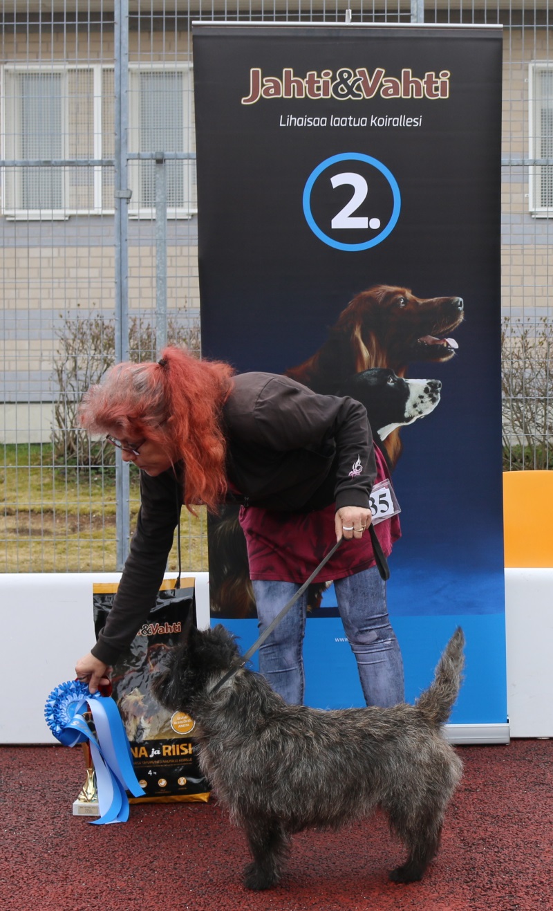 BIS_VET kuva