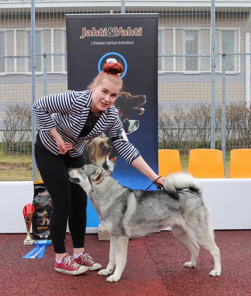 RYP-5 kuva